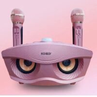 SDRD Karaoke Machine Portable Speaker Bluetooth Karaoke Speaker With Dual Wireless Mic For Kids And Adults Wireless Speaker For Indoor And Outdoor Party And Birthday Bluetooth Speaker SD-306 Rose Gold