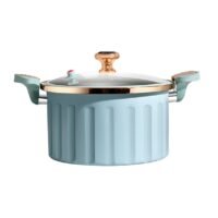 Sharpdo 26*37*15cm 10L Multifunctional Enamel Micro Pressure Cooker Soup Pot and Stew Pot 26*37*15CM Blue
