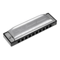 Mike Music Swan Diatonic Harmonica 10-Holes Mouth Organ Key of G With Case