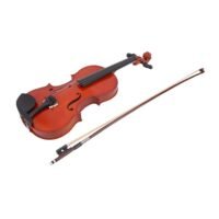 Generic 4/4 Acoustic Violin With Case And Bow