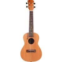 YAEL 23 Inch Ukulele Hawaiian 4 String Small Guitar