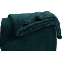 Noon East Lightweight Summer Blanket Queen Size 310 GSM Extra Soft Fleece All Season Blanket And Sofa Throw Blue/Green 150 x 200cm