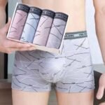 Banagat 4-Piece Set Men's Comfortable Underwear Briefs Multicolor